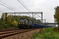 Kliknij aby powiększyć
