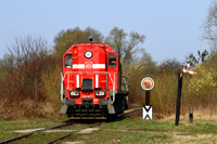 Kliknij aby powiększyć
