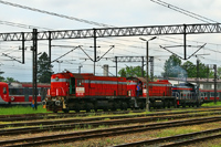Kliknij aby powiększyć