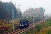 Kliknij aby powiększyć