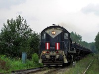Kliknij aby powiększyć