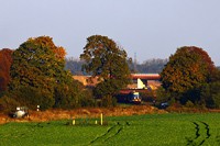 Kliknij aby powiększyć