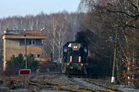 Kliknij aby powiększyć