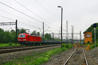 Kliknij aby powiększyć