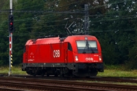Kliknij aby powiększyć