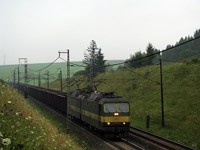 Kliknij aby powiększyć