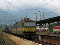 Kliknij aby powiększyć