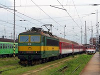 Kliknij aby powi�kszy�
