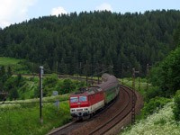 Kliknij aby powiększyć