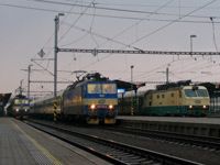 Kliknij aby powiększyć