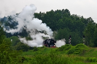 Kliknij aby powiększyć