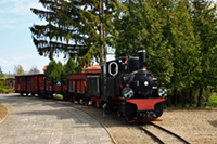 Kliknij aby powiększyć